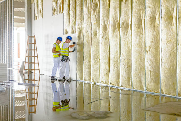 Best Commercial Insulation in Big Bend, WI